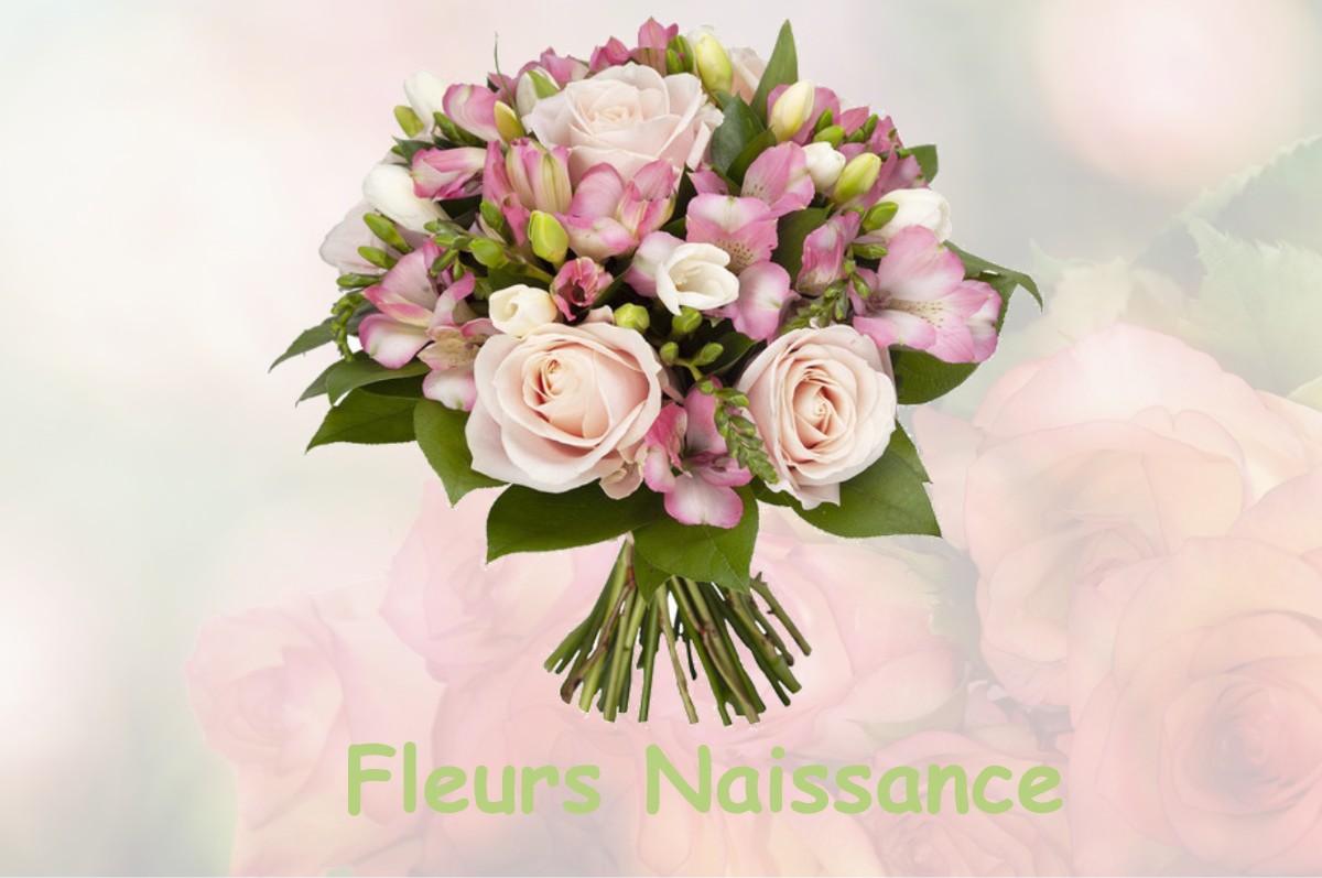 fleurs naissance SAINT-AMOUR